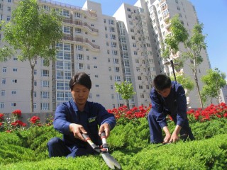 欧洲杯正规下单平台(官方)网站/网页版登录入口/手机版-禹州怎么读