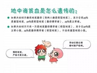 买球的app排行榜前十名推荐-十大正规买球的app排行榜-地中海贫血是什么病