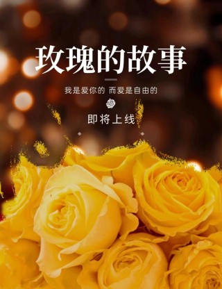 欧洲杯下单平台(官方)APP下载IOS/Android通用版/手机app-《玫瑰的故事》黄亦玫离婚