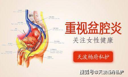 欧洲杯正规下单平台(官方)网站/网页版登录入口/手机版-盆腔炎有什么症状呢  第3张