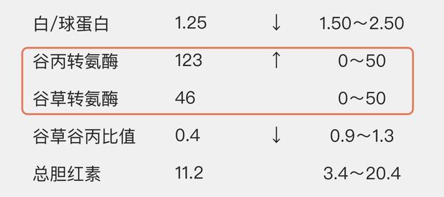 欧洲杯下单平台(官方)APP下载IOS/安卓通用版/手机app下载-谷丙转氨酶偏高说明什么原因  第1张